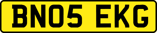 BN05EKG