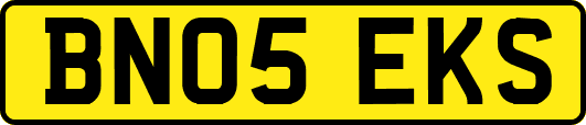 BN05EKS