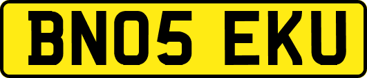 BN05EKU