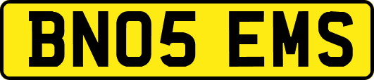 BN05EMS