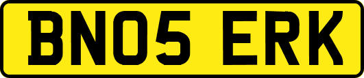 BN05ERK