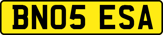 BN05ESA