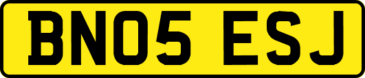 BN05ESJ