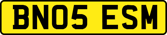 BN05ESM