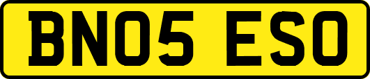 BN05ESO