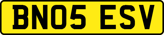 BN05ESV