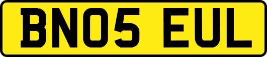 BN05EUL