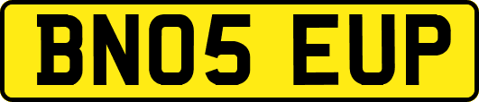 BN05EUP
