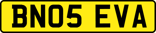 BN05EVA