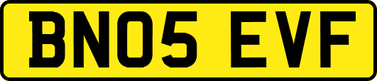 BN05EVF