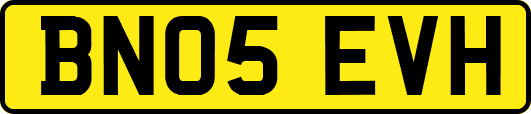 BN05EVH