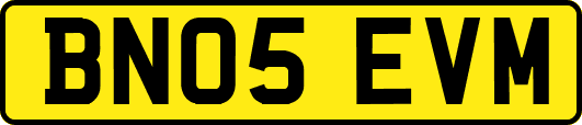 BN05EVM