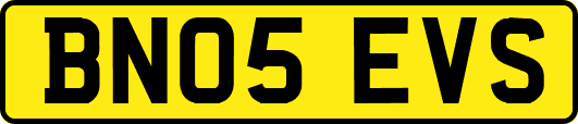 BN05EVS