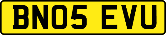 BN05EVU