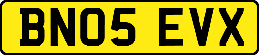 BN05EVX