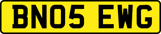 BN05EWG