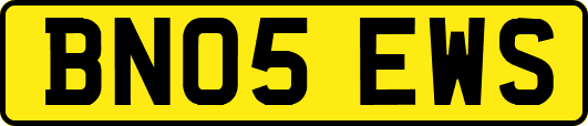 BN05EWS
