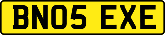 BN05EXE