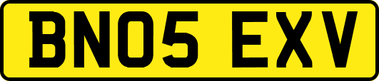 BN05EXV