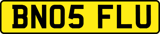 BN05FLU