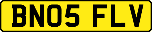 BN05FLV