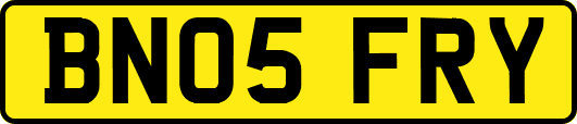 BN05FRY