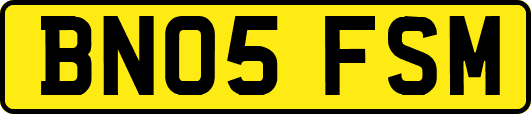 BN05FSM