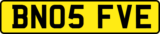 BN05FVE
