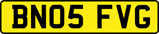 BN05FVG
