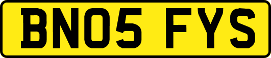 BN05FYS