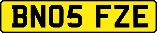 BN05FZE