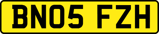 BN05FZH