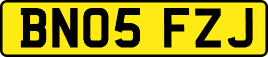 BN05FZJ