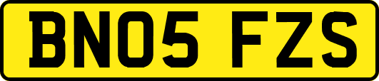 BN05FZS