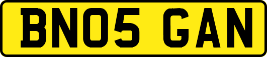BN05GAN
