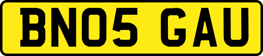 BN05GAU