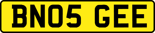 BN05GEE