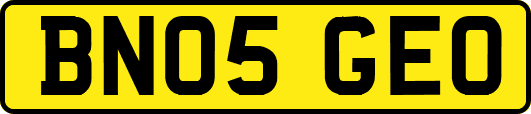 BN05GEO