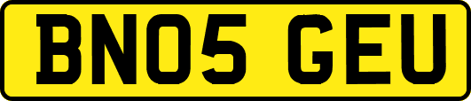 BN05GEU
