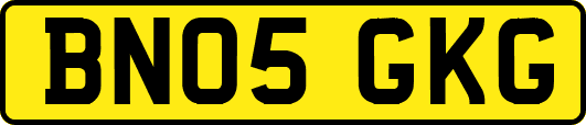 BN05GKG