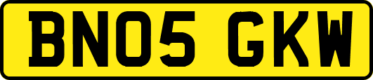 BN05GKW