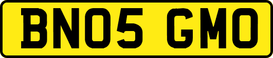 BN05GMO