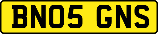 BN05GNS