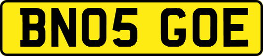 BN05GOE