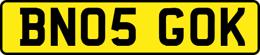 BN05GOK