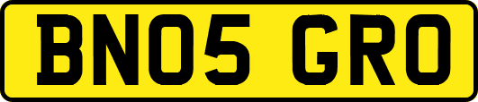 BN05GRO