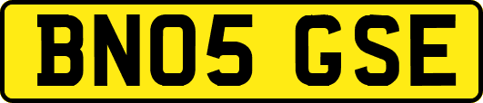 BN05GSE