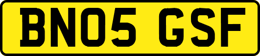 BN05GSF