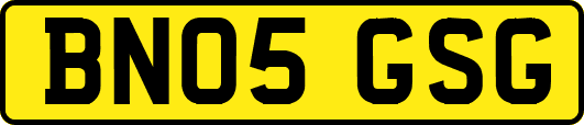 BN05GSG