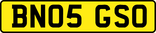 BN05GSO